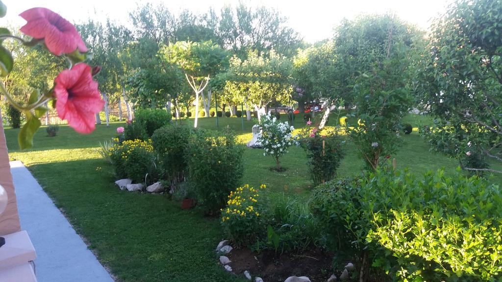 Guesthouse Tomas Catrnja Exterior photo